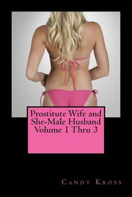 Book cover for Prostitute Wife and She-Male Husband Volume 1 Thru 3