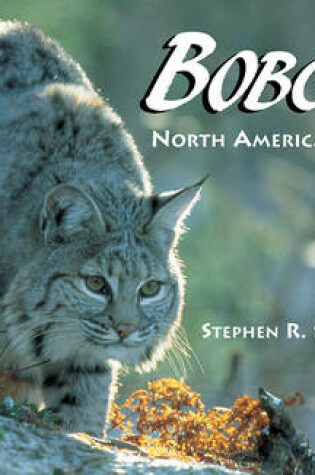 Cover of Bobcat