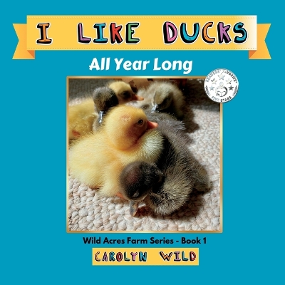 Cover of I Like Ducks