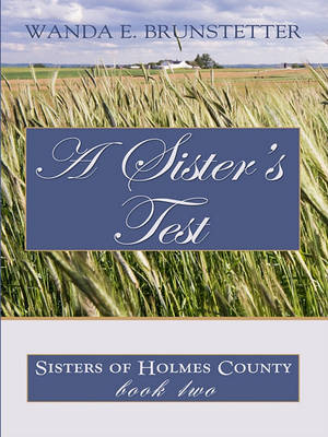 Book cover for A Sister's Test