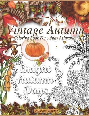 Book cover for Vintage Autumn coloring book for adults relaxation