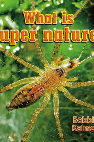 Cover of What Is Super Nature?