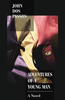 Book cover for Adventures of a Young Man