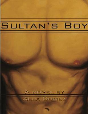 Book cover for Sultan's Boy