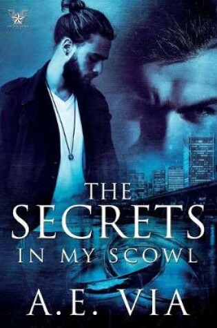 Cover of The Secrets in My Scowl