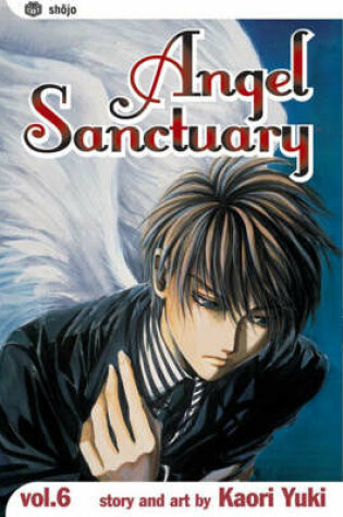 Cover of Angel Sanctuary, Vol. 6