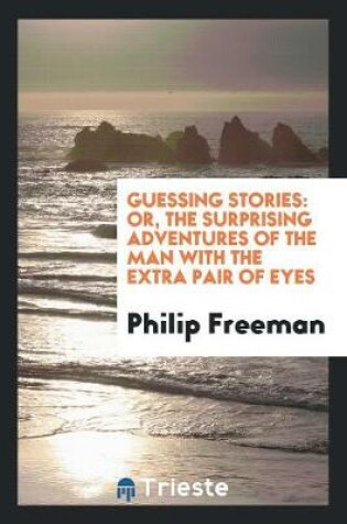 Cover of Guessing Stories