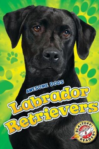 Cover of Labrador Retrievers