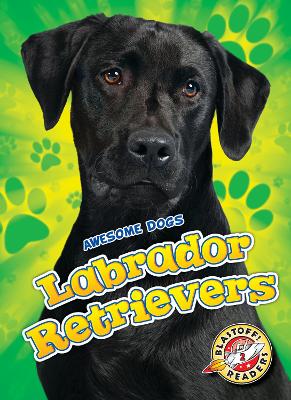 Cover of Labrador Retrievers