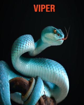 Book cover for Viper