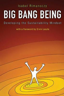 Book cover for Big Bang Being