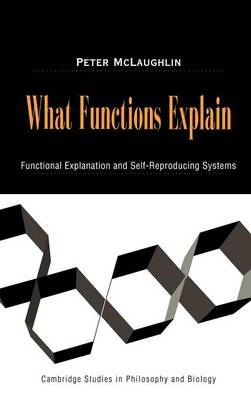 Book cover for What Functions Explain