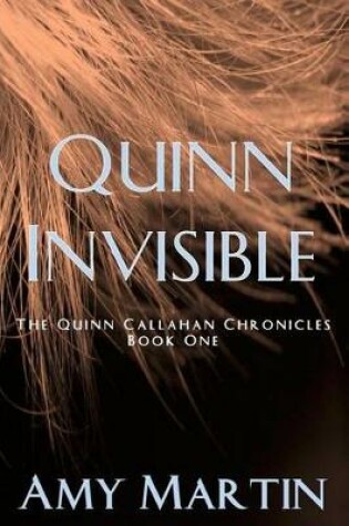 Cover of Quinn Invisible