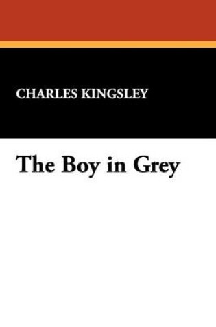 Cover of The Boy in Grey