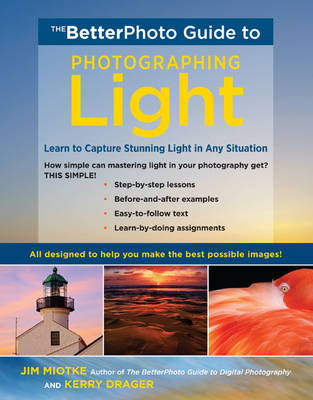 Book cover for BetterPhoto Guide to Photographing Light, The