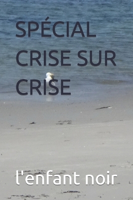 Book cover for Spécial Crise Sur Crise