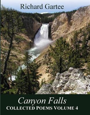 Book cover for Canyon Falls