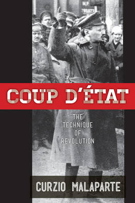 Book cover for Coup D'Etat