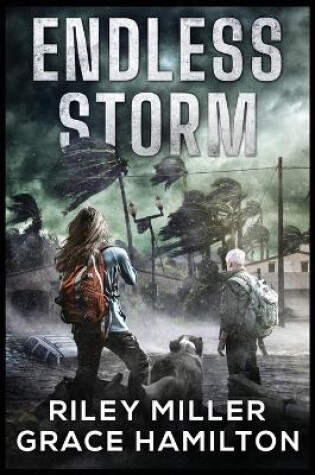 Cover of Endless Storm