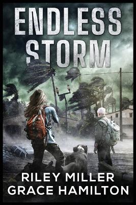 Book cover for Endless Storm