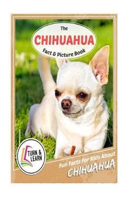 Book cover for The Chihuahua Fact and Picture Book