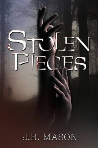 Cover of Stolen Pieces