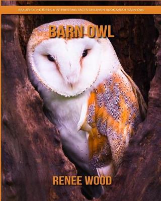 Book cover for Barn Owl