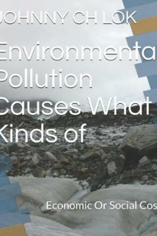 Cover of Environmental Pollution Causes What Kinds of