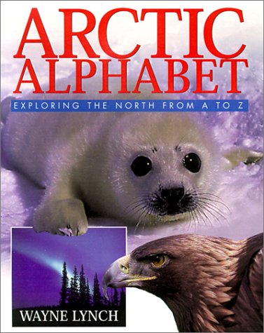 Book cover for Arctic Alphabet