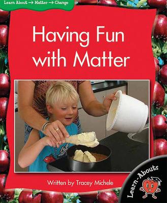 Book cover for Lab Lvl13 Fun with Matter