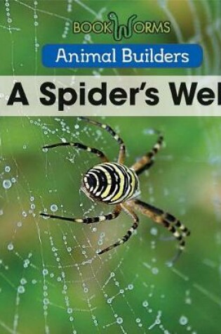 Cover of A Spider's Web