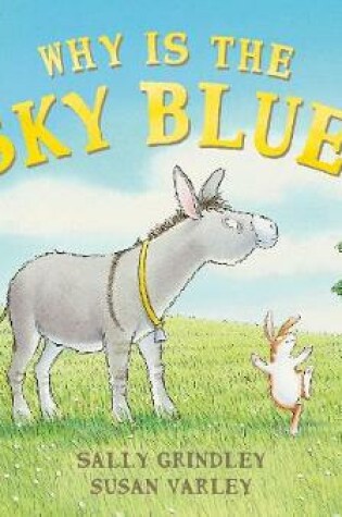 Cover of Why Is The Sky Blue?
