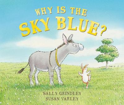 Book cover for Why Is The Sky Blue?