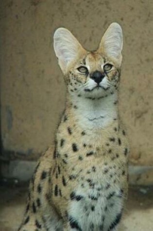 Cover of Serval Small Wild Cat Journal