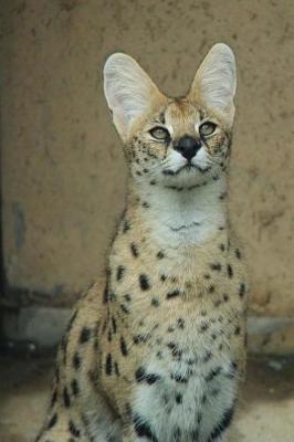 Book cover for Serval Small Wild Cat Journal