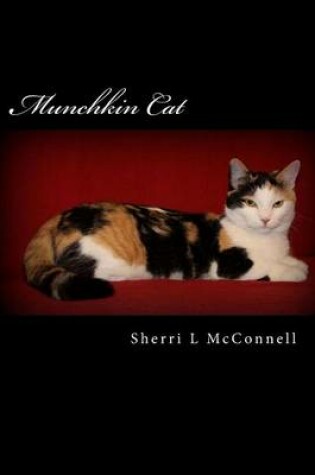 Cover of Munchkin Cat