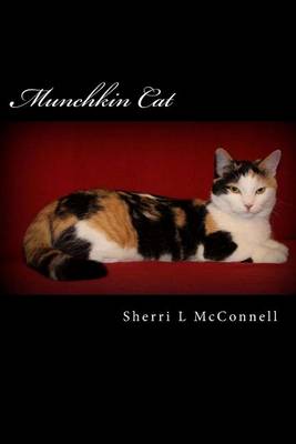 Book cover for Munchkin Cat