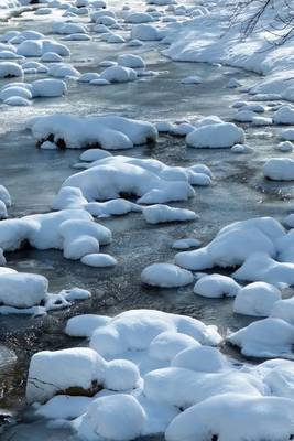 Book cover for Frozen Creek Covered in Snow, for the Love of Nature