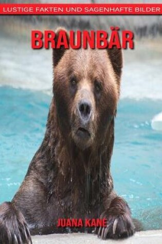 Cover of Braunbär