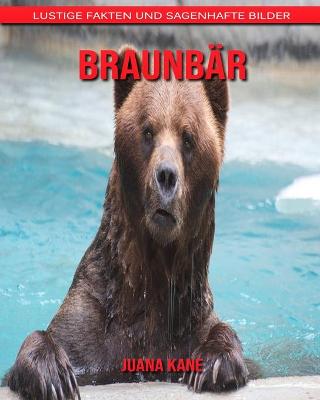 Book cover for Braunbär