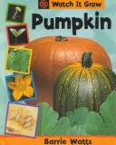 Book cover for Pumpkin