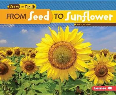 Book cover for From Seed to Sunflower