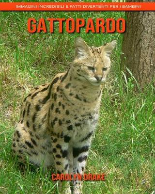 Book cover for Gattopardo