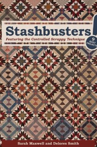 Cover of Stashbusters