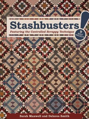 Book cover for Stashbusters