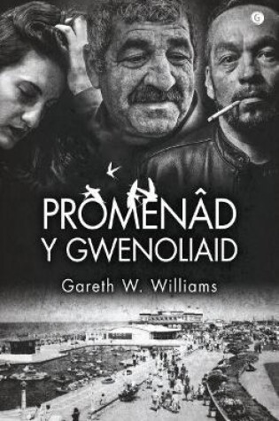Cover of Promenâd y Gwenoliaid