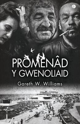 Book cover for Promenâd y Gwenoliaid