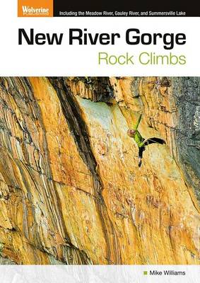 Book cover for New River Gorge Rock Climbs