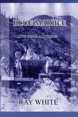 Book cover for Blue Marble