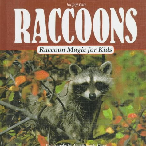 Book cover for Raccoon Magic for Kids
